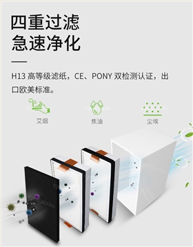 艾烟净化器A1002高效滤芯